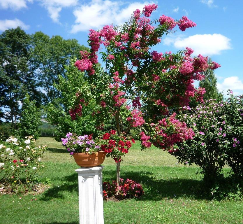 Bed and Breakfast Domaine Vega Saint-Arroman  Zewnętrze zdjęcie