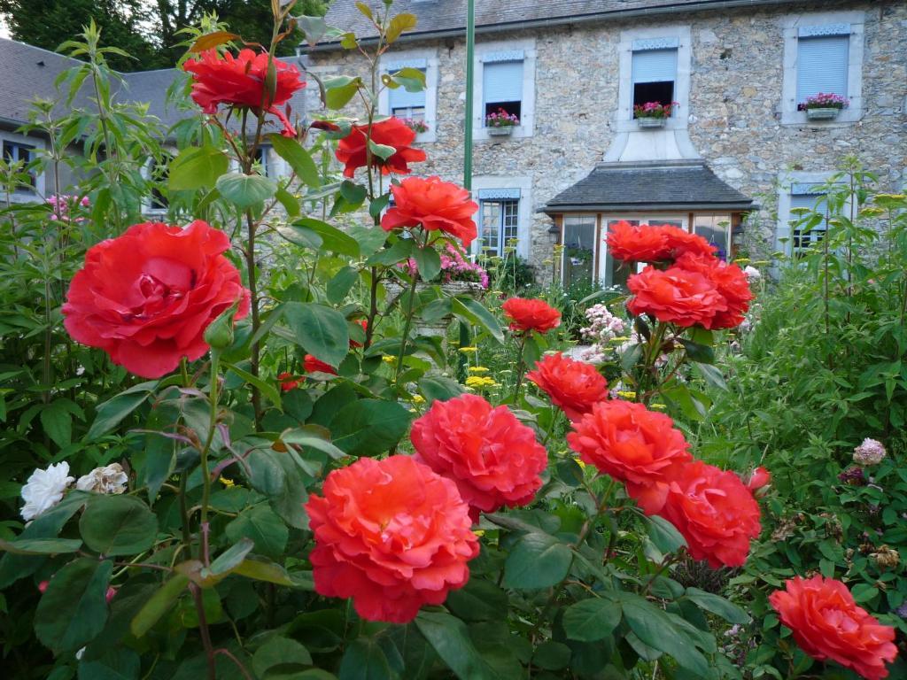 Bed and Breakfast Domaine Vega Saint-Arroman  Zewnętrze zdjęcie